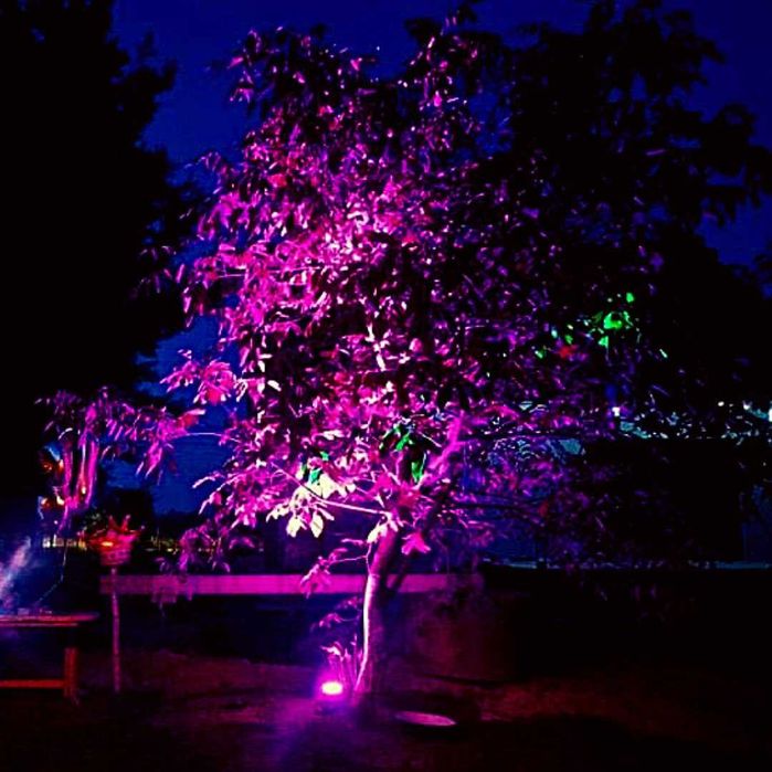 Dekoracja światłem wsparcie techniczne twojej imprezy