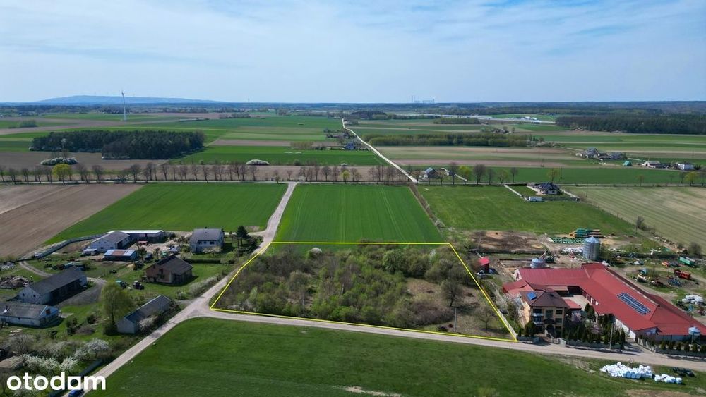 Działka we Wronikowie, gm. Rozprza. Media.