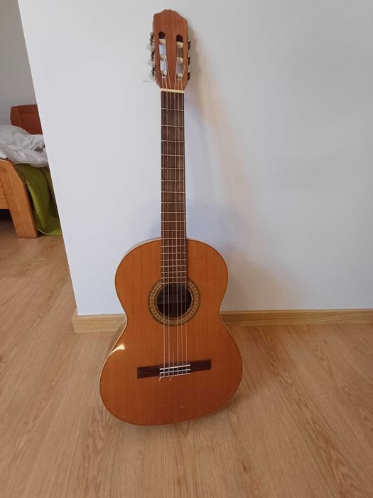 Guitarra Clássica GrazaLema