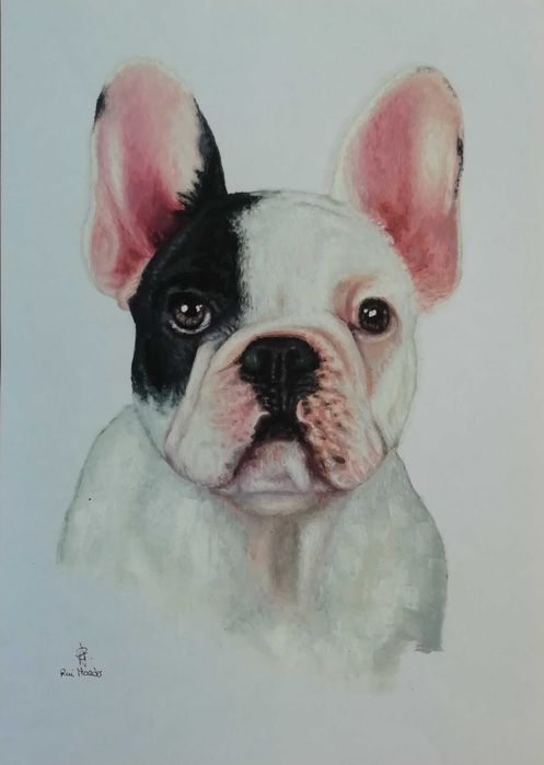 Quadros / Pinturas a óleo