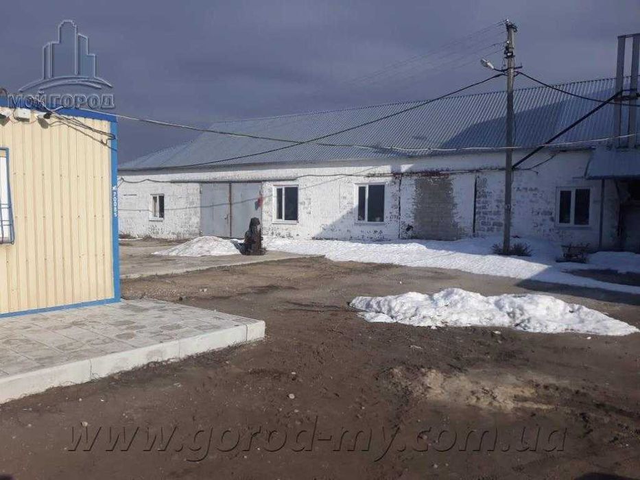 Бізнес з виробництва соняшникової олії в Україні. Олійниця. Завод