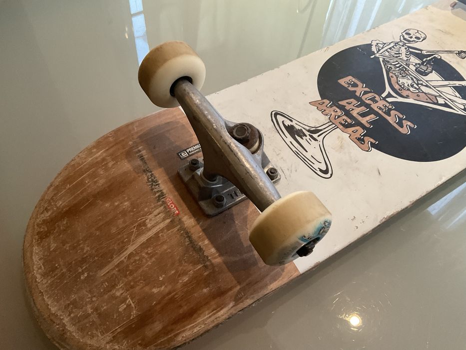 Skate globe premium