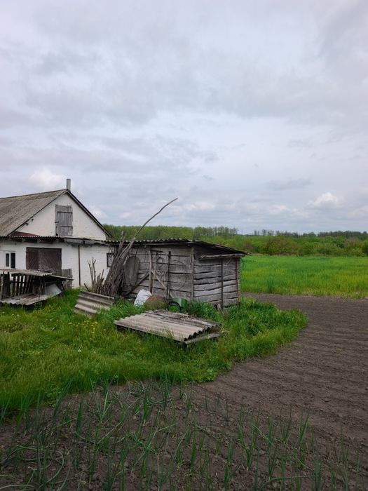 Продам приватизовоний будинок з приватизованою землею 45 соток.