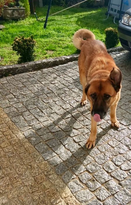 Procuro nova família,com muito amor para dar.