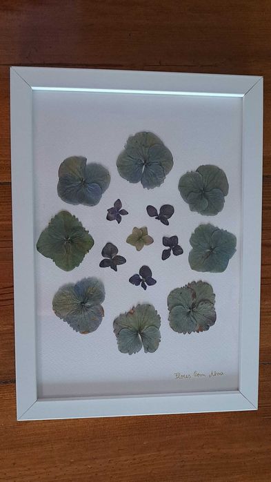 Moldura Coleção Açores- Hortênsia