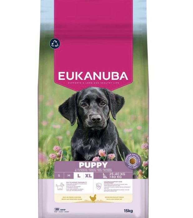 Eukanuba Premium Nutrition Puppy Large & Giant Breed Frango 15kg