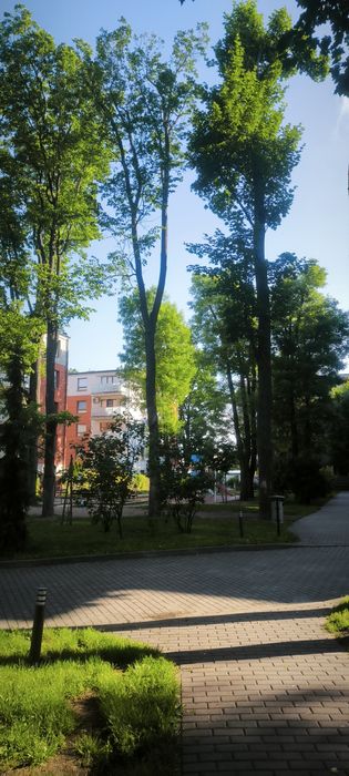 Komfortowe 53 m²  | ul. Śmiała, Siedlce | Dostępne od 01.09.2026 r.
Opis: - Widok 4
