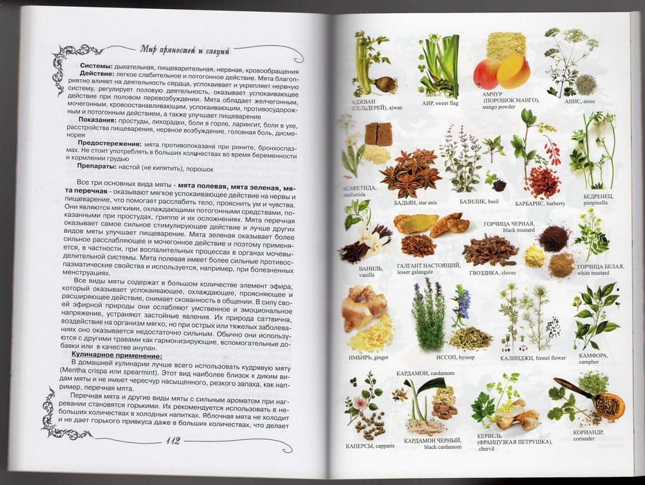 Подарочный комплект Стратегия духовного пути Ведическая традиция +