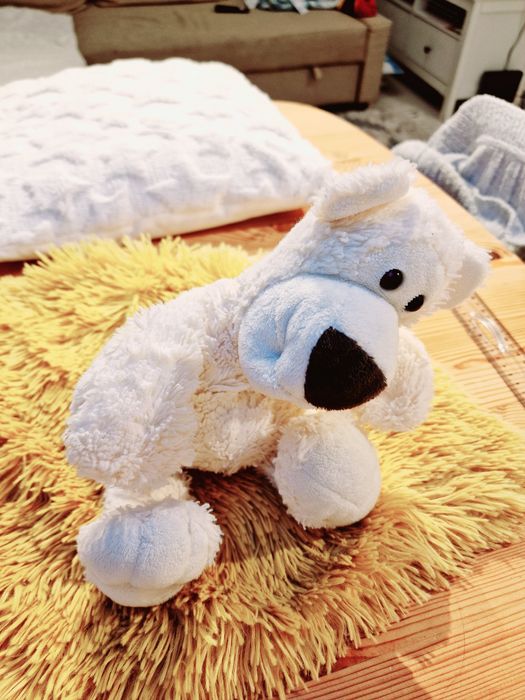 Biały miś pluszak  35cm