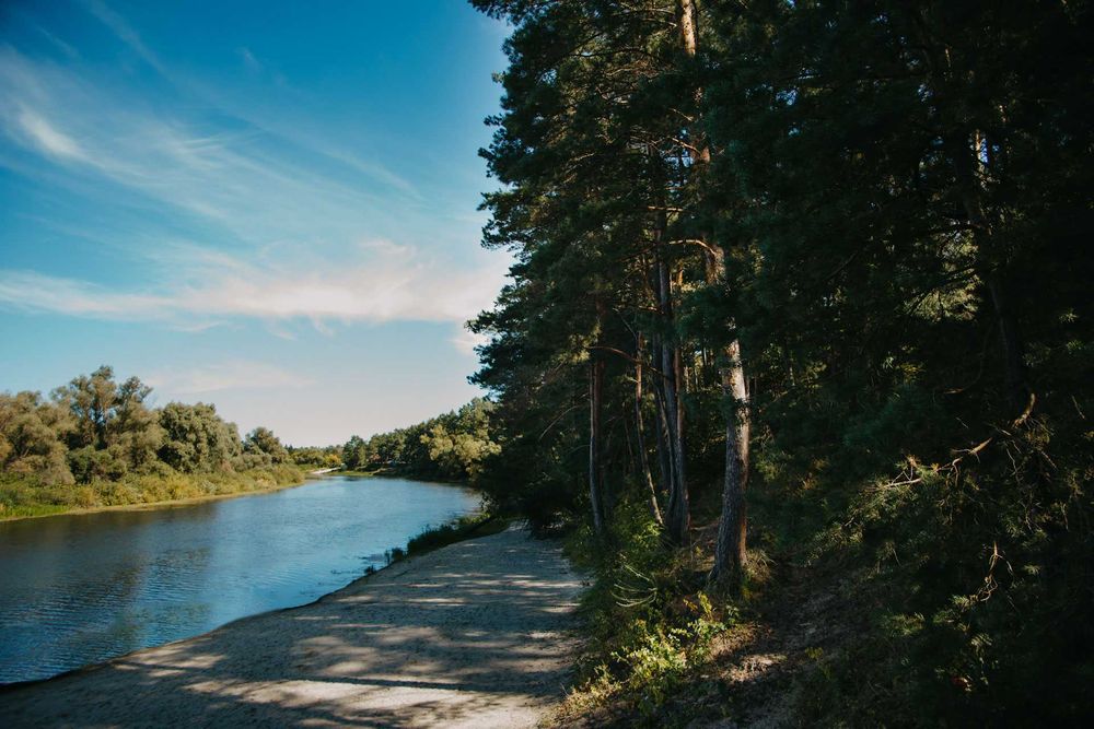 Здається двомісний номер Standard Double у заміському комплексі