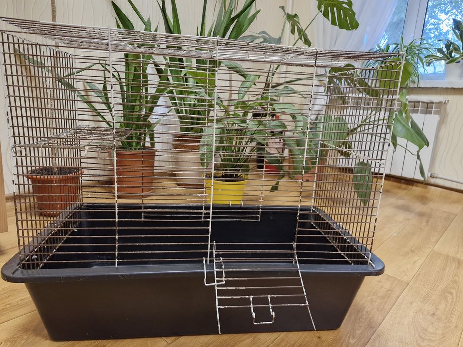 Клітка для тварин (гризунів)