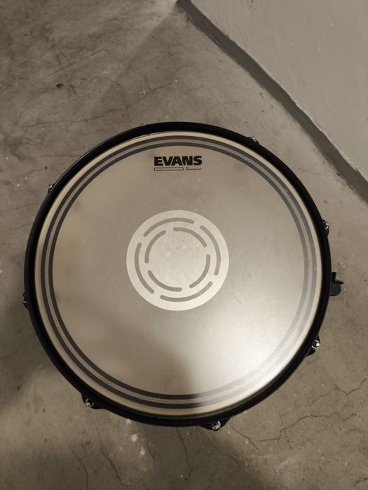 Werbel Pearl ELX 14 x 5.5