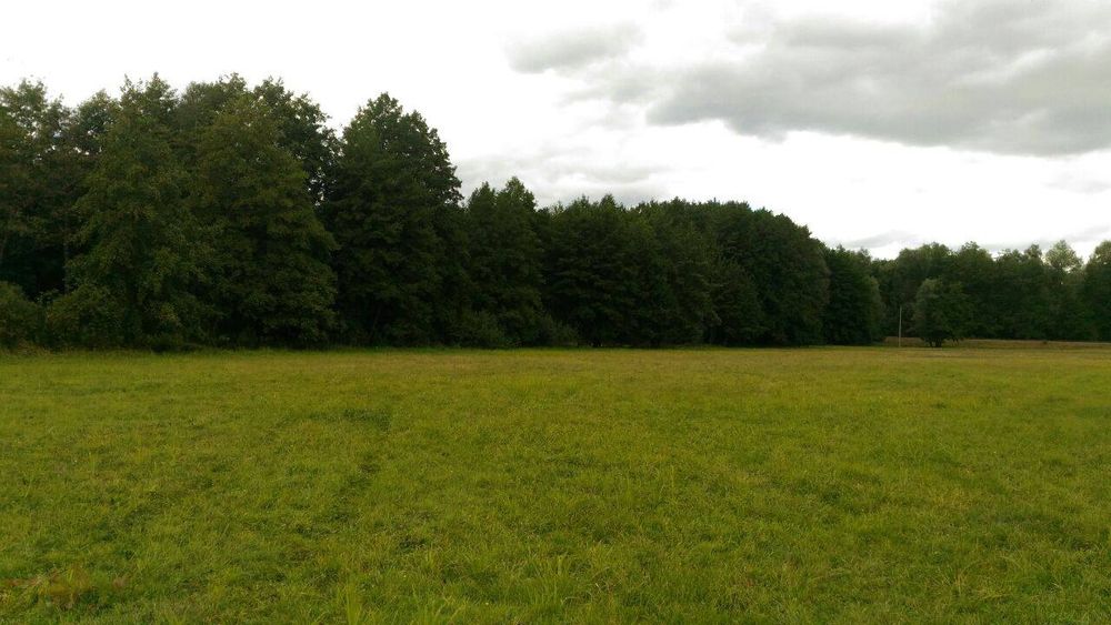 Продам участок 2га на берегу реки Мжа, в с.Тимченки