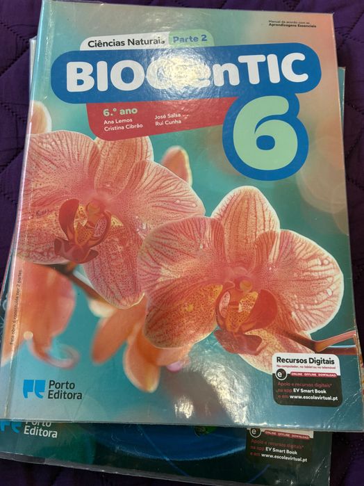 Livros escolares 6 ano