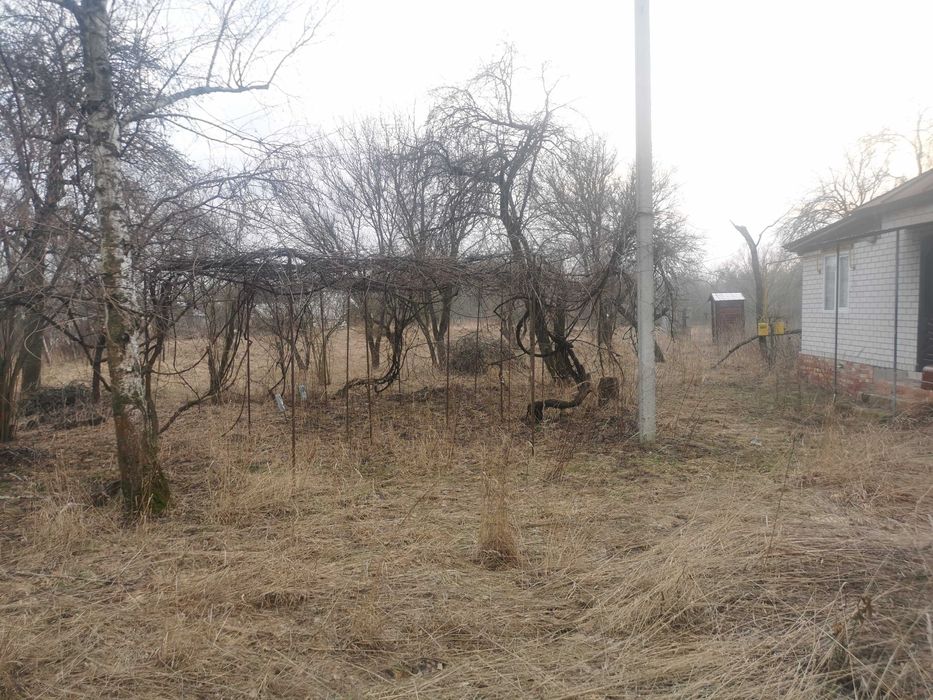 Без % продаж будинку с Нічогівка Козелецький р-н 36 соток Чернігівська