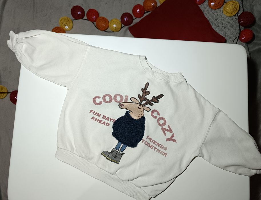 Світшот від Zara