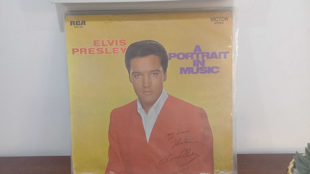 Discos de vinil rock fado soul e outros