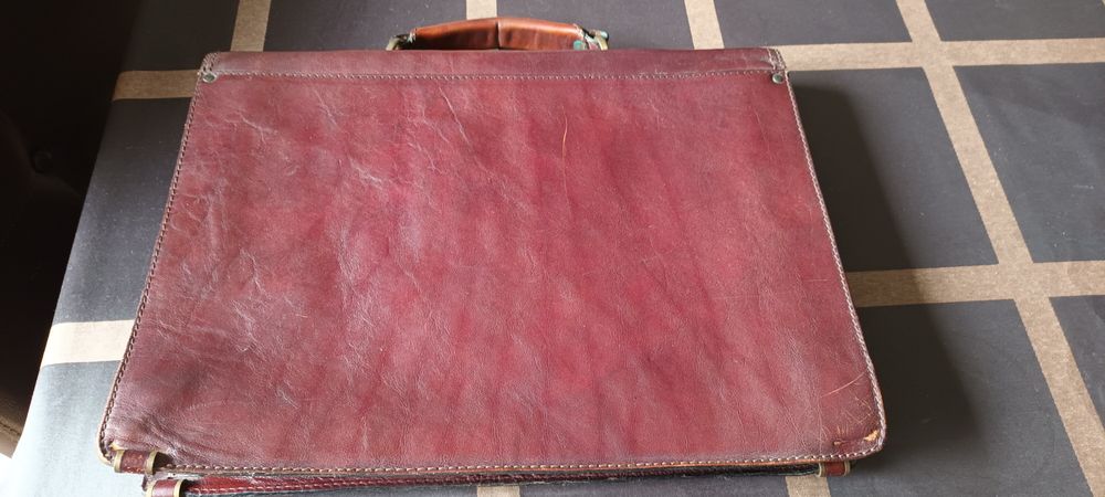 Pasta em pele e em bom estado