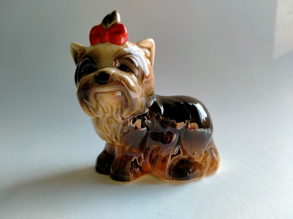 Yorkshire Terrier Goebel