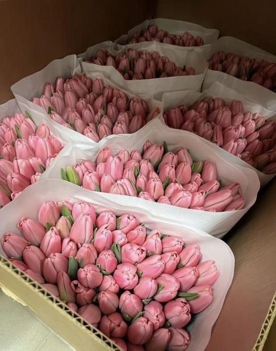 Тюльпан,доставка,цветы