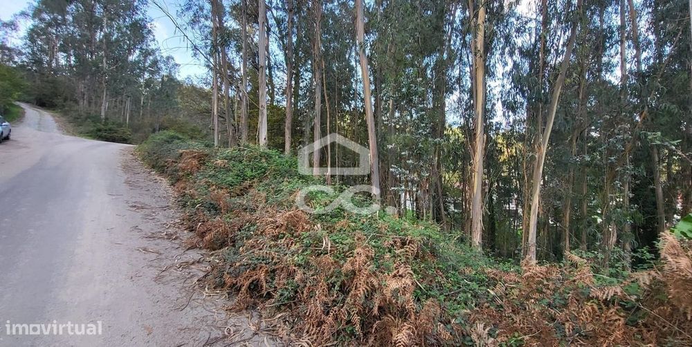 Terreno em Pousada de Saramagos — Pousada de Saramagos, Braga