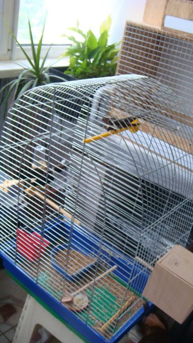 Клетка для Японских Амадин