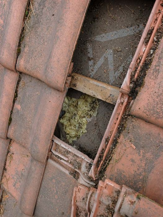 Naprawa Dachu po KUNACH Izolacja Poddasza CELULOZĄ Ocieplenie stropu KUNA w Dachu
