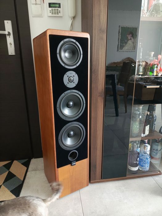 Kolumny podłogowe canton ergo 90 DC  yamaha ax - 890