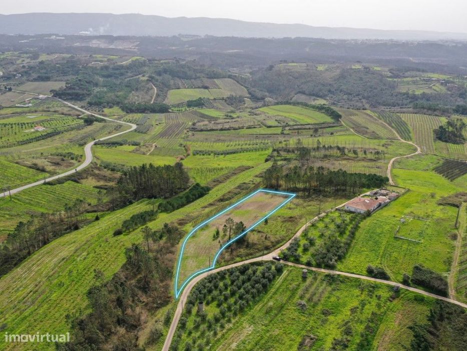 Terreno para construção em Montes, Alcobaça — Alcobaça E Vestiaria, Leiria