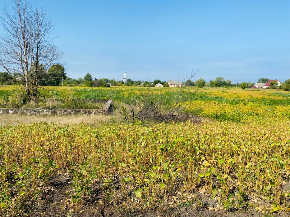 Продам земельну ділянку під забудову в центрі с.Мошни.