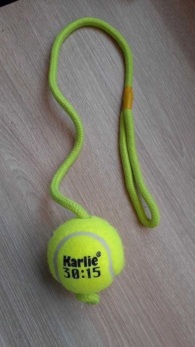 Bola com corda para cão brinquedo novo