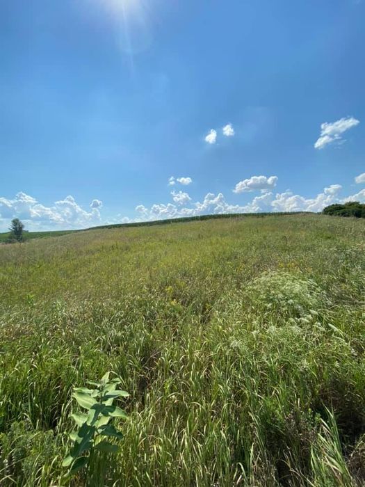 Ділянка 25 соток, с. Деревʼяна, м. Обухів 4 км, м. Київ 30 км - View 3