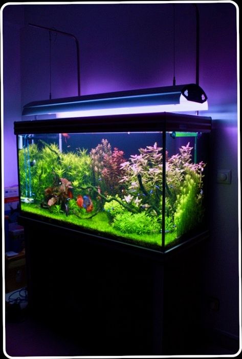Venda aquario  - fim de hobby