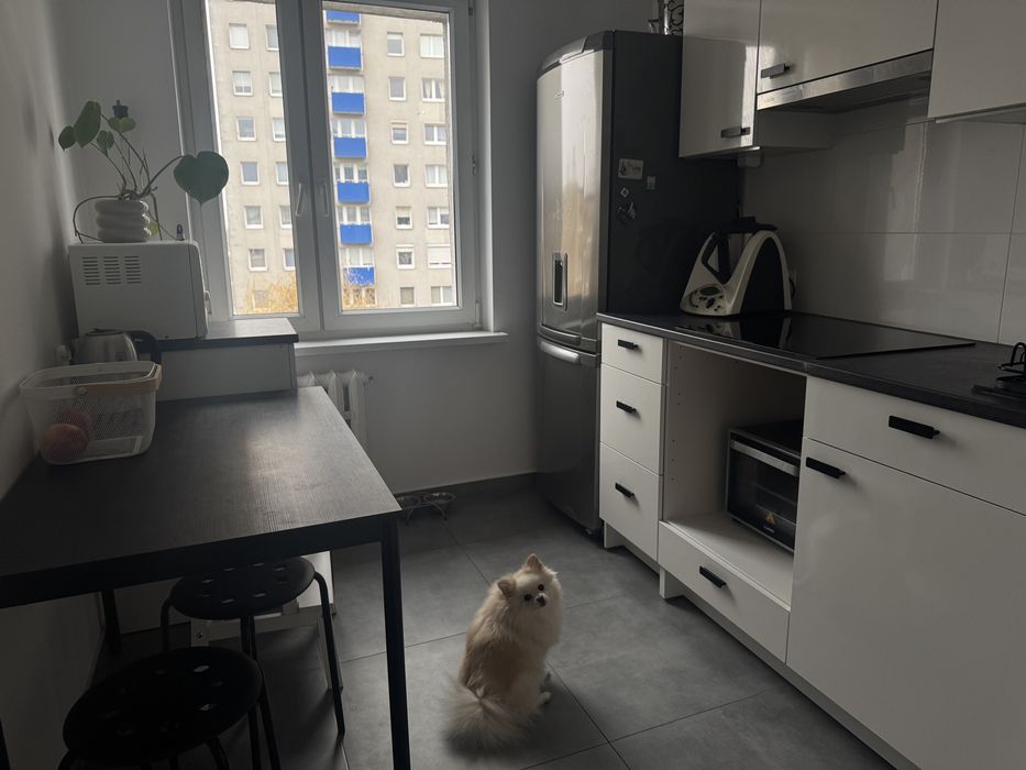 pokoj poznan winogrady