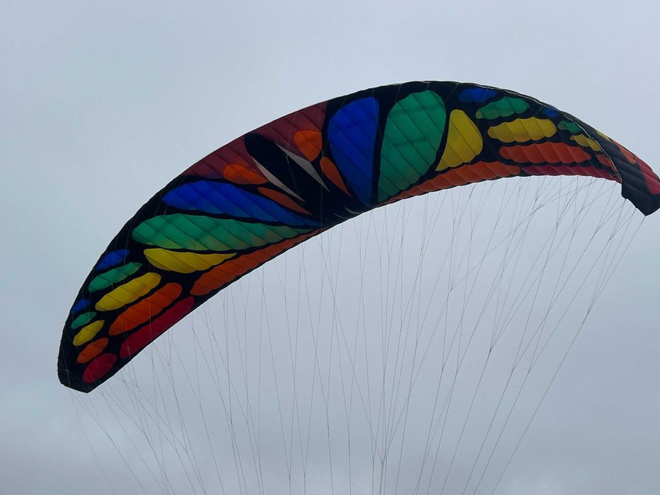 Asa Paramotor AirDisegn Rama Flex Versão "Butterfly"