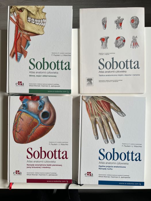 Zestaw 3 atlasów anatomii człowieka SOBOTTA + tablice anatomiczne
