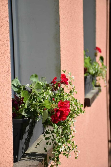 Święta w lesie, 2h od Szczecina. Jelenino Domek nad jeziorem