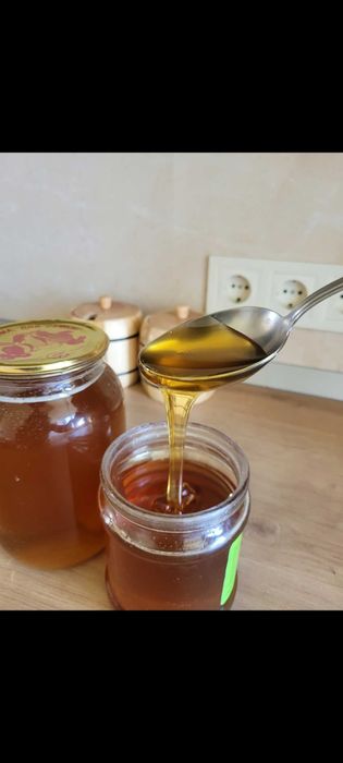 Мед карпатський лісове різнотрав'я