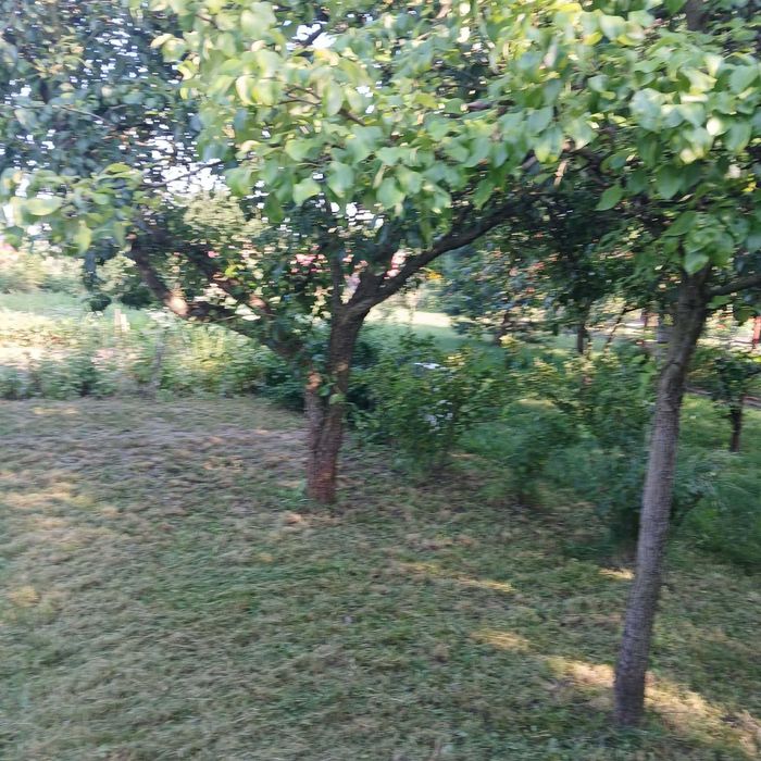 Działka ROD "Kolejarz", ul. Ściegiennego w Sierpcu