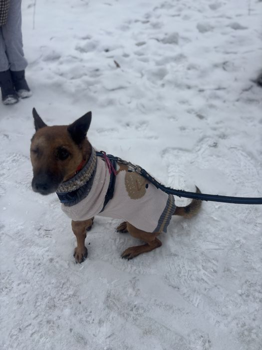 Pixel człowiek mu nie pomogł, a on KOCHA calym sercem