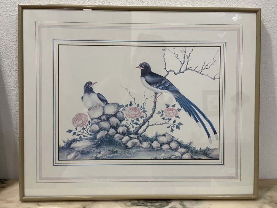 Bird Picture Collection64752331890690121