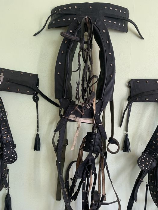 Продам лошадиную збрую бу.