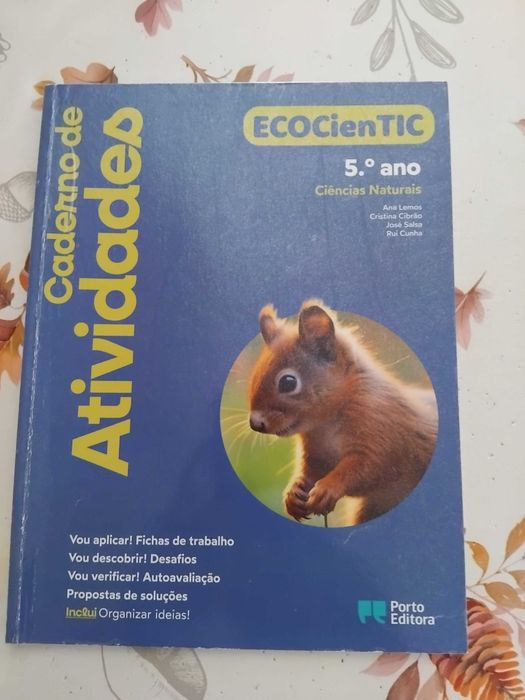 Livros fichas 5 ano,praticamente novos