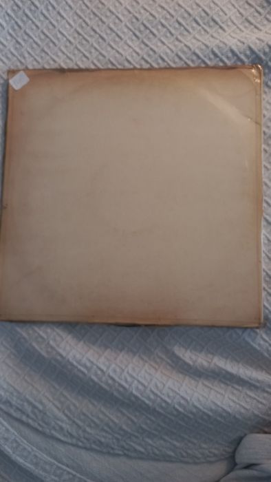 The Beatles Vinil