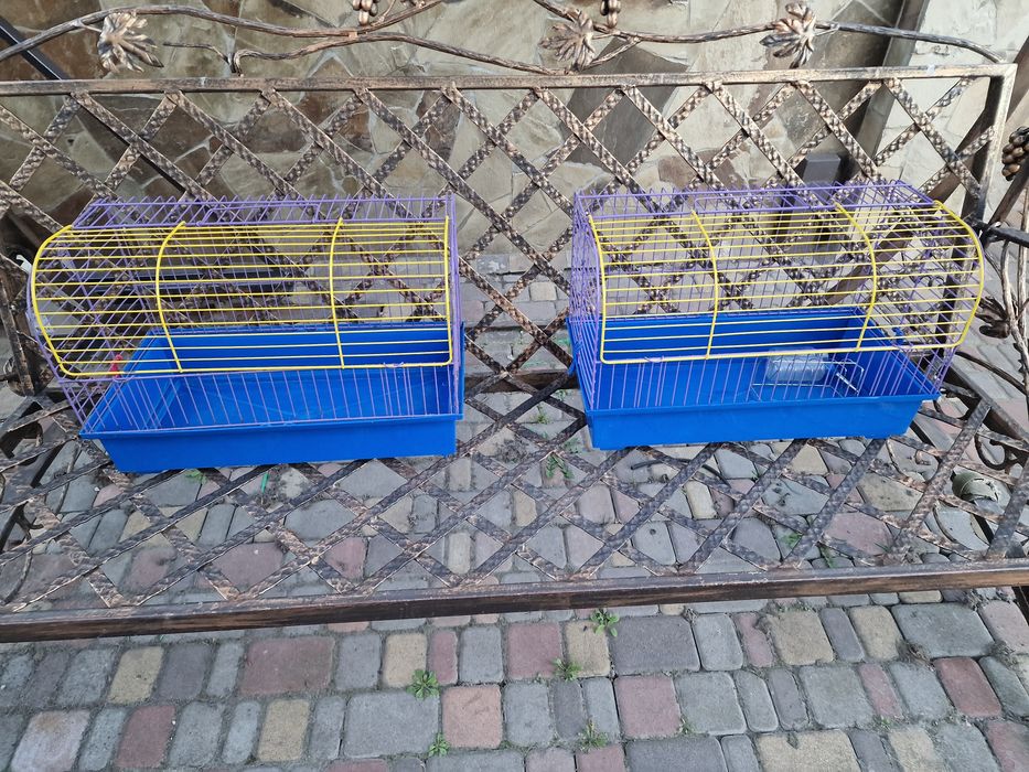 Клітка для гризунів