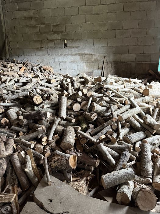 Limpeza de Terrenos , Jardinagem , Podas