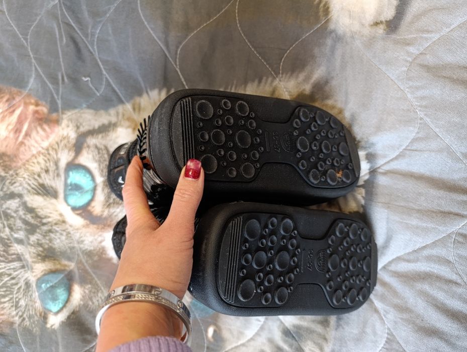 Новые луноходы лаковые