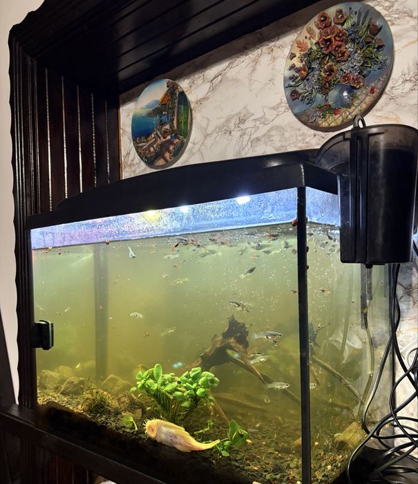 продам акваріум б/у