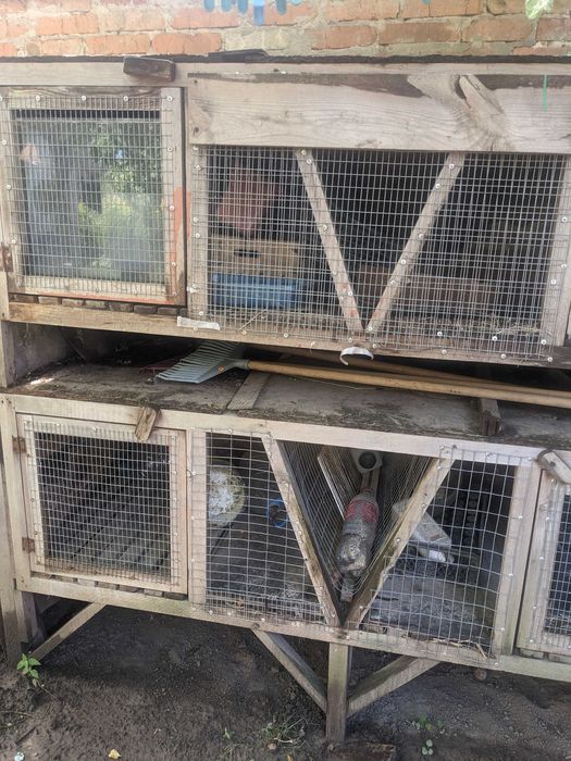 Продам клітки для кроликів