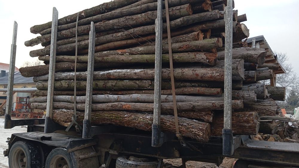 Drewno opałowe suche lisciaste w kłodzie